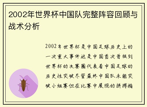 2002年世界杯中国队完整阵容回顾与战术分析